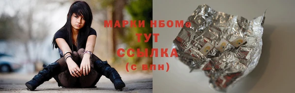 гашик Богородицк