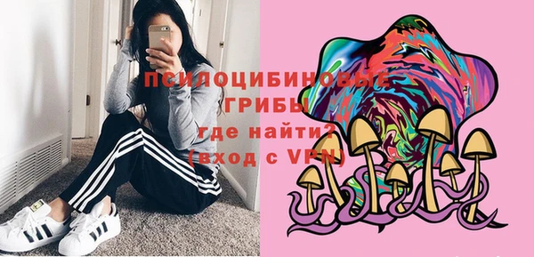 ГАЛЛЮЦИНОГЕННЫЕ ГРИБЫ Новокубанск