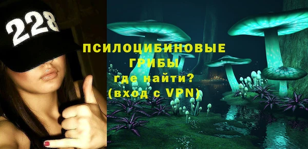 гашик Богородицк
