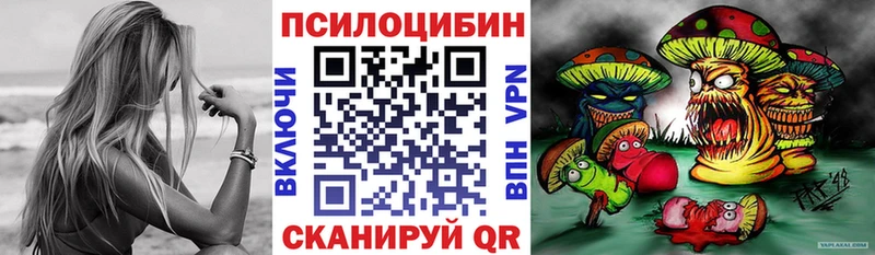Псилоцибиновые грибы Cubensis закладка Катав-Ивановск